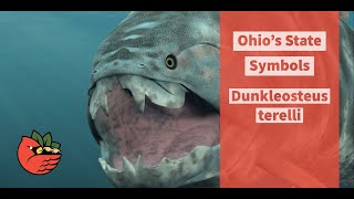 Dunkleosteus terrelli aka the quotDunkquot [upl. by Xymenes908]