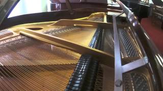 Grotrian Steinweg 160 [upl. by Amasa165]