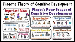 Piaget Theory of Cognitive Development [upl. by Haon]