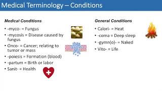 Medical Terminology  The Basics  Lesson 4 [upl. by Milburn]