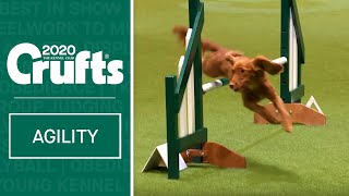 Agility  Championship Final  Crufts 2020 [upl. by Eibur395]