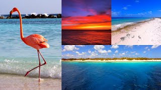 Best Beaches on Bonaire  Flamingo Island  in the Caribbean Sea incl Klein Bonaire [upl. by Norret]