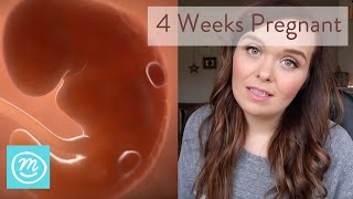 4 Weeks Pregnant What You Need To Know  Channel Mum [upl. by Esej]