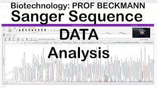 Sanger Sequencing Data Analysis [upl. by Ahdar798]