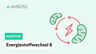 Energiestoffwechsel Teil 8  Anaerobe Energiegewinnung  AMBOSS Auditor [upl. by Fokos]