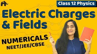 Electric Charges and Fields Class 12 Numericals  CBSE NEET JEE Electrostatics [upl. by Phares]