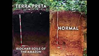 Making Terra Preta Soil [upl. by Israel]