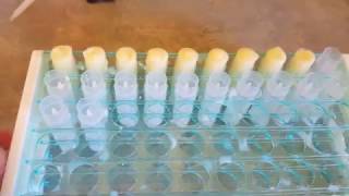 Homemade Lip Balm aka ChapStick 3 ingredients [upl. by Toombs]