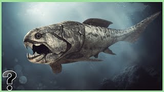 What If The Dunkleosteus Didnt Go Extinct [upl. by Pollux]