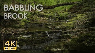 4K HDR Babbling Brook  Trickling Forest Creek  Water Sounds  Relaxing Nature Video [upl. by Culliton886]