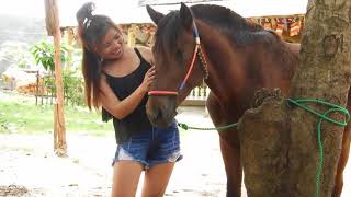 Girl Training Her Horse At Farm DariyaTube [upl. by Leena]