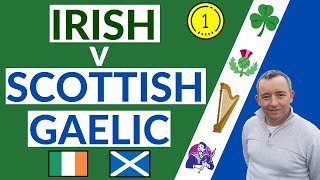 I Compare Irish amp Scottish Gaelic [upl. by Jarad571]