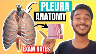 Pleura anatomy 3D  Difference between visceral and parietal pleura [upl. by Radford]