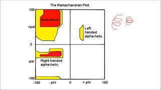 Ramachandran Plot [upl. by Baoj]