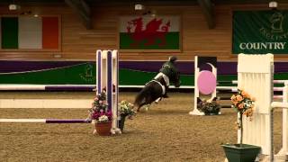 Showjumping  Home Pony Part 2  2012 [upl. by Elbring95]