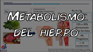 Fisiologia Metabolismo del hierro [upl. by Urata744]