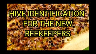 Honeybee Hive Identification For The New Beekeepers [upl. by Ennasil101]