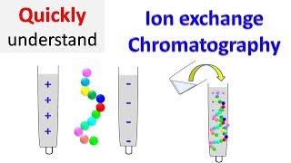 Ion exchange chromatography [upl. by Older735]