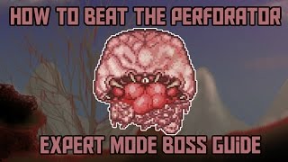 How to beat the Perforator in Terraria Calamity Expert Mode Boss Guide [upl. by Elrem165]