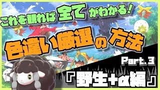 【ポケモン剣盾】これを観れば全てがわかる！色違い厳選講座！3野生αレイド化石キャンプ等編【ゆっくり実況ゆっくり解説】 [upl. by Drahsar]