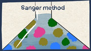 Sanger method DNA sequencing  Biology tutorial [upl. by Ahsuoj11]