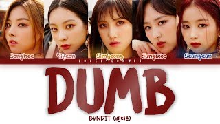 BVNDIT 밴디트 – Dumb Lyrics Color Coded HanRomEng [upl. by Nehtanhoj811]