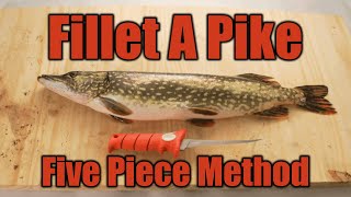 Fillet Pike with NO BONES StepbyStep [upl. by Liagaba]