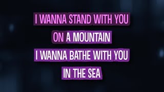 Truly Madly Deeply Karaoke  Cascada [upl. by Atsocal]