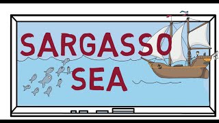 Fun Facts What is so special about the Sargasso Sea  World Geography geography [upl. by Lemon]