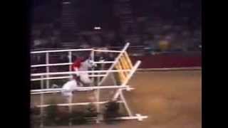 World Record Horse High Jump 2 32 meters [upl. by Mattias769]