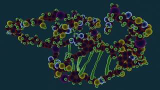 What is Protein Denaturation  Food Science [upl. by Dix]