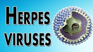 Herpes Symptoms Treatment and Causes [upl. by Alak]