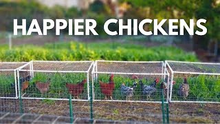 The Beginners Guide to Small Scale Backyard Pastured Poultry [upl. by Astred357]