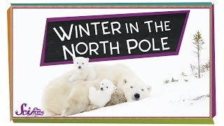 Winter at the North Pole  Winter Science  SciShow Kids [upl. by Bain206]