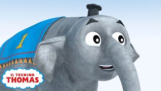 Il Trenino Thomas  Thomas e LElefante  cartoni animati per bambini [upl. by Samul]