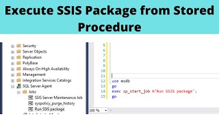 16 Execute SSIS Package from Stored Procedure\SQL Query [upl. by Jacoba]