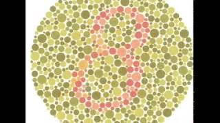 Test for Colour Blindness [upl. by Lindie]