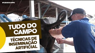 Inseminação Artificial em Bovinos [upl. by Cathy]