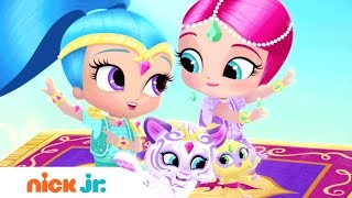 Shimmer and Shine  La sigla in italiano Musica  Nick Jr [upl. by Soisinoid]