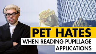 Pupillage applications Barristers PET HATES [upl. by Cornie374]