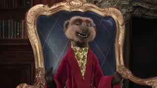 Compare the Meerkat  Advert 118 [upl. by Relly]