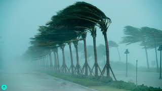 Sound Effects  Storm Winds Hurricane [upl. by Leirol]