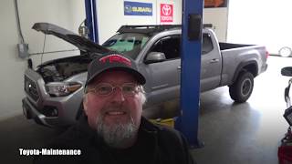 2019 Toyota Tacoma engine oil and filter change [upl. by Wanfried509]