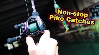 Nonstop PIKE catches Lockdown Special [upl. by Hairahs]