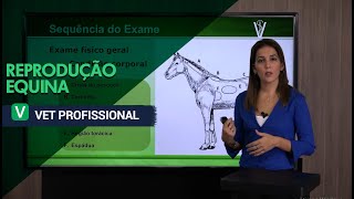 Reprodução Equina l VET Profissional [upl. by Maryly961]