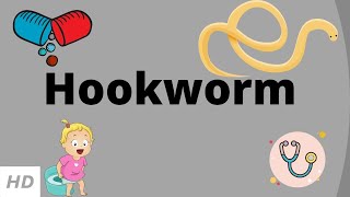 Hookworm Causes Signs and Symptoms Diagnosis and Treatment [upl. by Rodablas497]