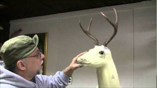 Testas Taxidermy Tips  Mounting a Deer Head Part 3 [upl. by Ettenot]