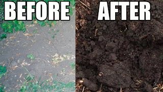 Amazing Garden Soil Transformation Using Wood Chips [upl. by Elleined]