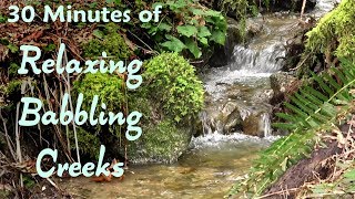 Babbling Brook Nature Sounds for Sleeping Relaxing Mountain Stream [upl. by Assadah932]