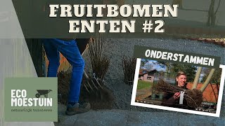 Fruitboom onderstammen [upl. by Grace414]